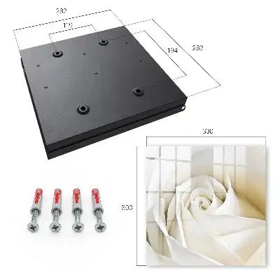 Wall mounted key cabinet A white rose with subtle petals