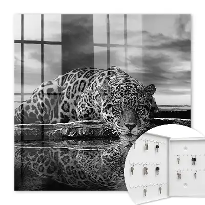 Key cabinet Jaguars in the water black and white contrast