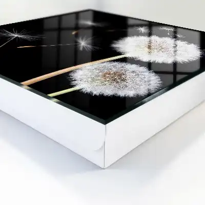 Key cabinet Delicate dandelions without a dot