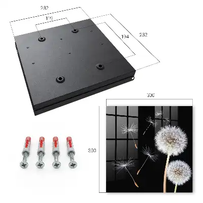 Key cabinet Delicate dandelions without a dot