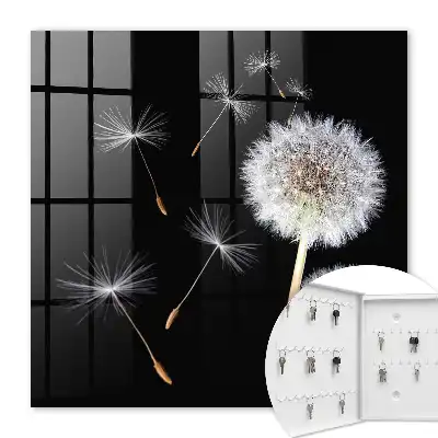 Key cabinet Delicate dandelions without a dot