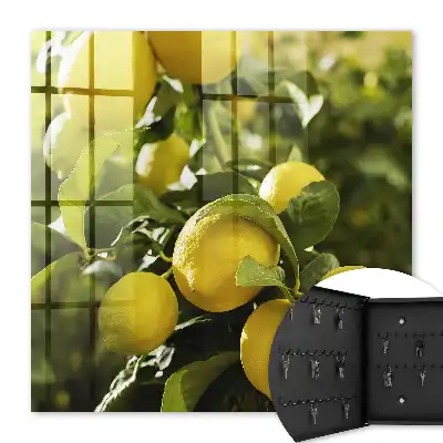 Wall mounted key box Juicy fresh green leaves