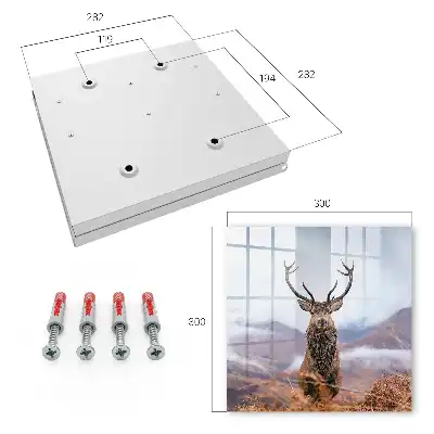 Key cabinet Mountain deer in a foggy landscape