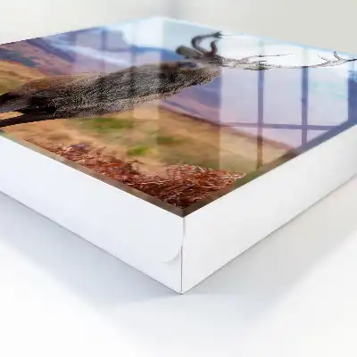 Wall mounted key box Deer in the autumn mountain landscape