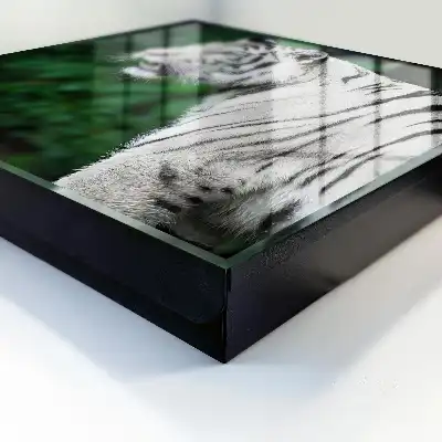 Wall mounted key box White tiger in green surroundings