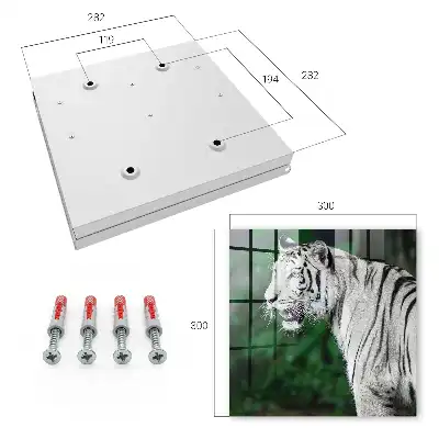 Wall mounted key box White tiger in green surroundings