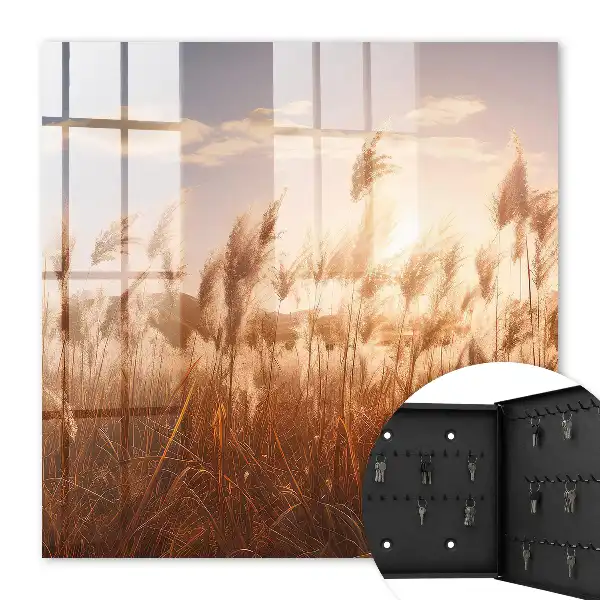 Decorative key box Sunset grass in the sky background