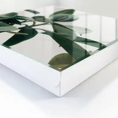 Key box for home Ficus leaves in the light background