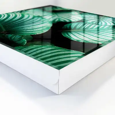 Key box for home Green leaf structure