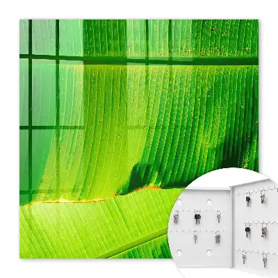 Key cabinet The leaf shines with delicate lines