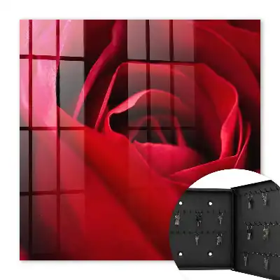 Key box for home Rose close-up of rose petals