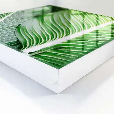 Wall mounted key cabinet The green of nature is expressive in lines