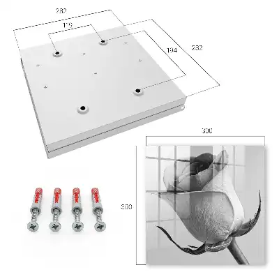 Wall mounted key cabinet Rose elegance minimalism nature