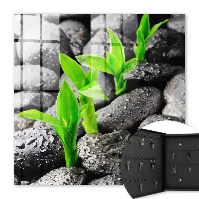 Key cabinet The green nature of wet stones