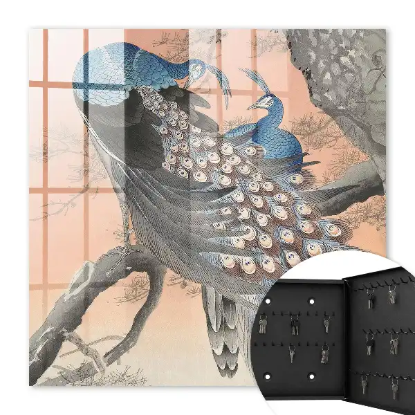 Decorative key box Peacock beauty in pastel background