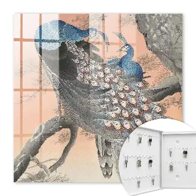 Decorative key box Peacock beauty in pastel background