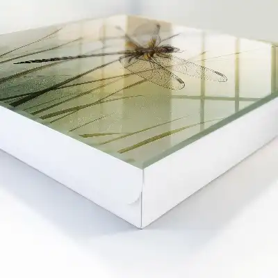 Key box for home Dragonfly nature elegance