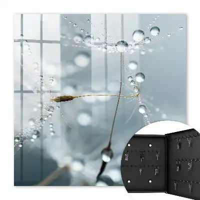 Decorative key box Dew drops