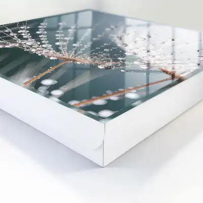 Wall mounted key cabinet Drops of water in the grass threads