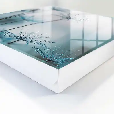 Wall mounted key box Dandelions and dew details nature