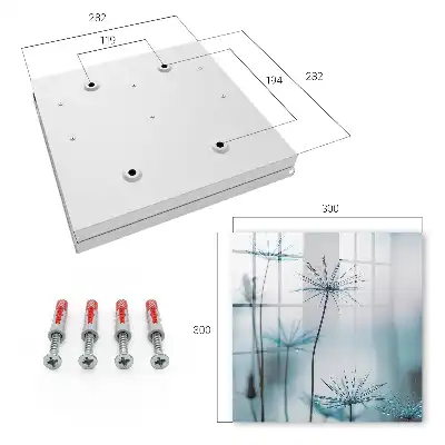 Wall mounted key box Dandelions and dew details nature