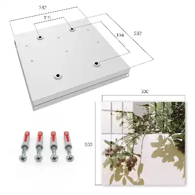 Decorative key box Olive branch in the light background