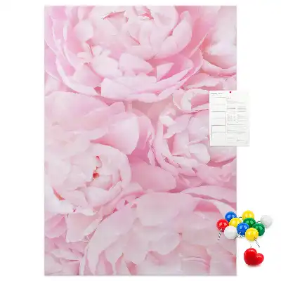 Summer flowers cork pin board