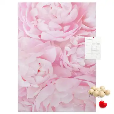 Summer flowers cork pin board