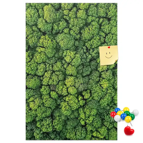 Cork Note Board Forest nature of the tree