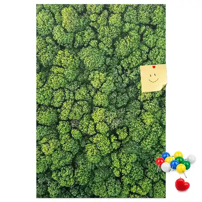 Cork Note Board Forest nature of the tree