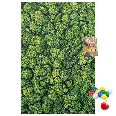 Cork Note Board Forest nature of the tree