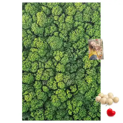 Cork Note Board Forest nature of the tree
