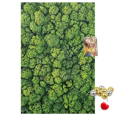 Cork Note Board Forest Tree Design