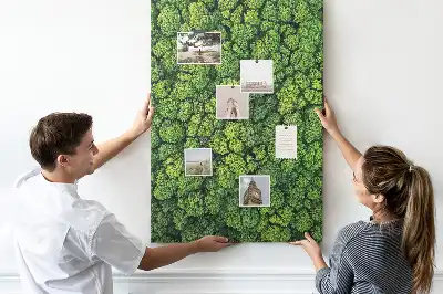 Cork Note Board Forest nature of the tree