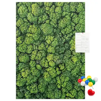 Cork Note Board Forest Tree Design