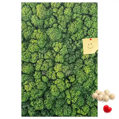 Cork Note Board Forest Tree Design