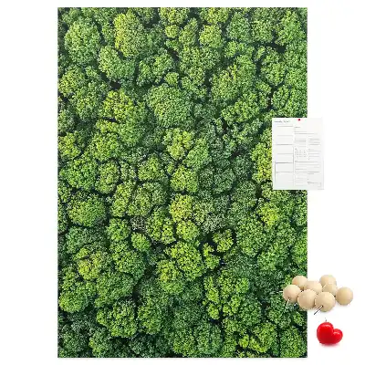 Cork Note Board Forest nature of the tree