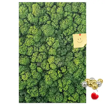 Cork Note Board Forest nature of the tree