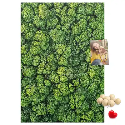 Cork Note Board Forest nature of the tree