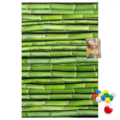 Bamboo and cork wall pin board