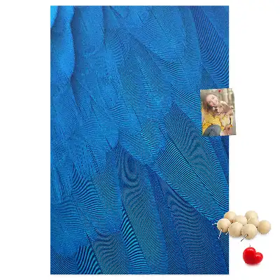 Parrot feathers cork pin board