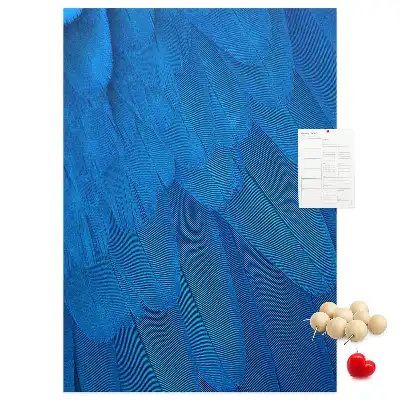Parrot feathers cork pin board