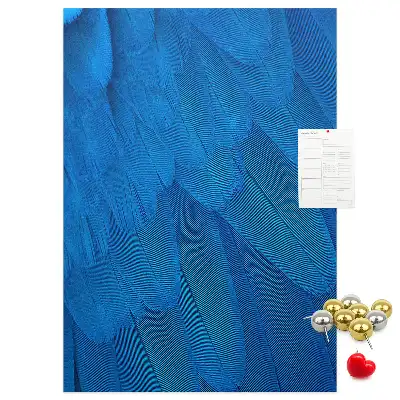 Parrot feathers cork pin board