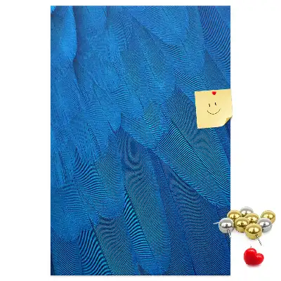 Parrot feathers cork pin board