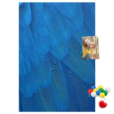 Parrot feathers cork pin board