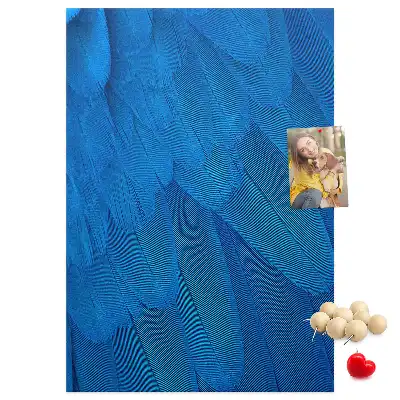 Parrot feathers cork pin board