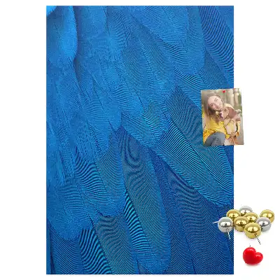 Cork pin board Parrot feathers