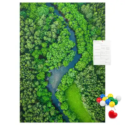 Forest Stream Cork Note Board