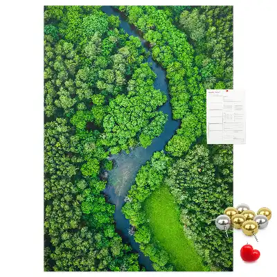 Forest Stream Cork Note Board