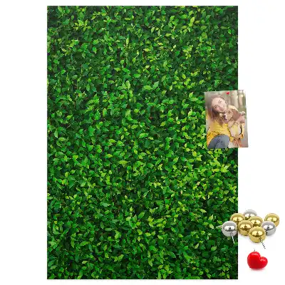 Fence in leaves cork pin board